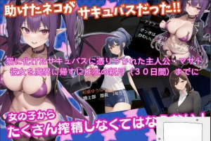 [RPG机翻]我被魅魔附体了～少女榨精日记[电脑2.43G]-IS