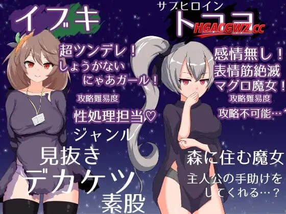 01113755521
