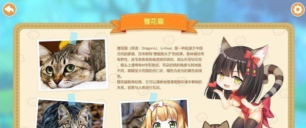[互动SLG/中文/动态]猫姑娘:喵喵岛 Miss Neko2 官方中文步兵版[百度][600M]』