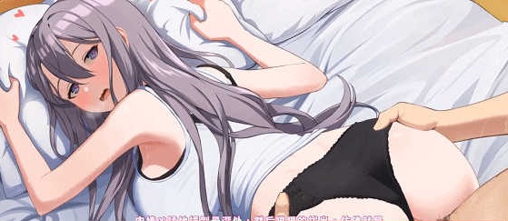 [同居互动SLG/中文/动态]姐姐同居生活：幸福的二人房V1.04HF2 官方中文步兵版+全CG存档[更新/CV][4G/百度]』
